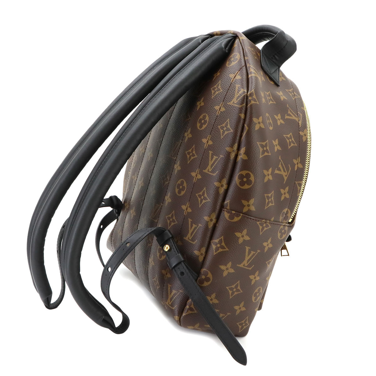 Monogram Palm Springs MM Backpack Brown Black M44874