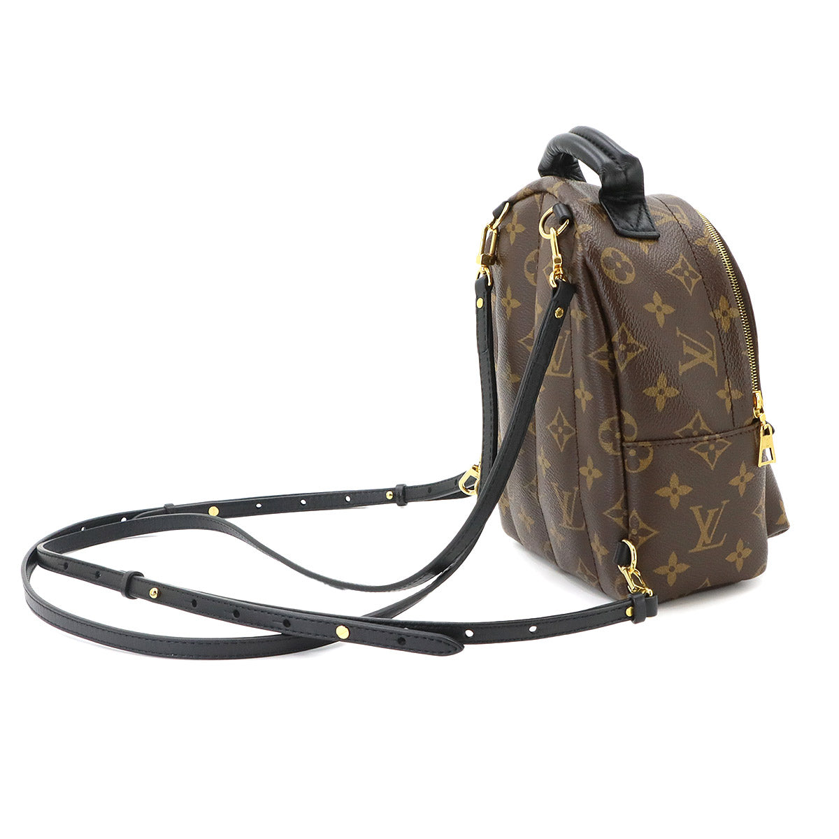 Monogram Palm Springs Backpack Mini M44873 Brown Purse