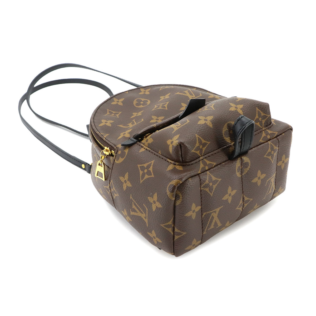 Monogram Palm Springs Backpack Mini M44873 Brown Purse