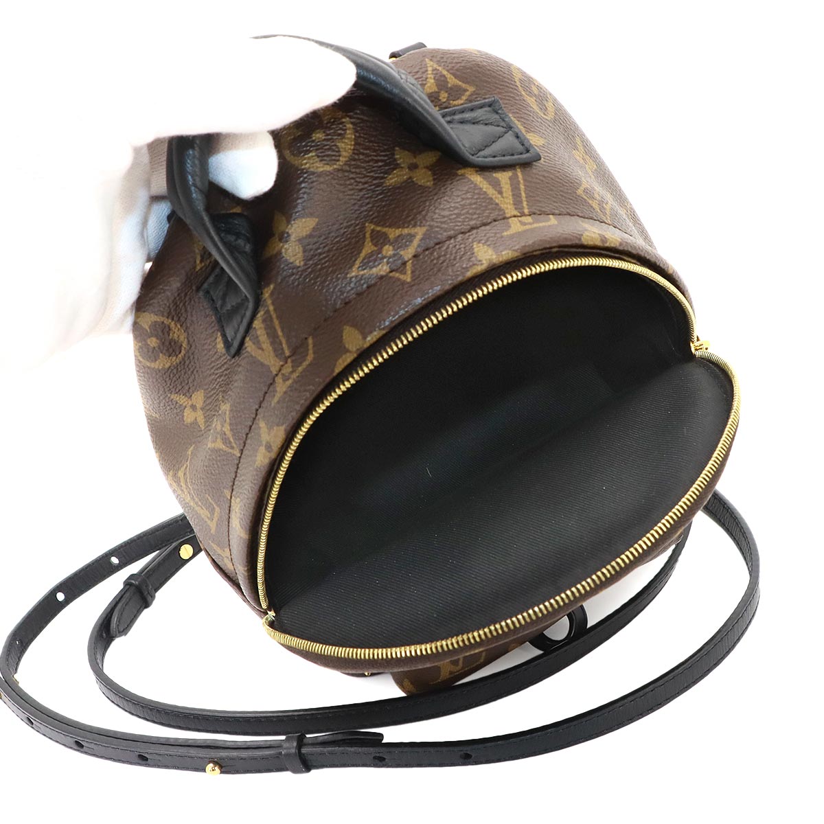 Monogram Palm Springs Backpack Mini M44873 Brown Purse