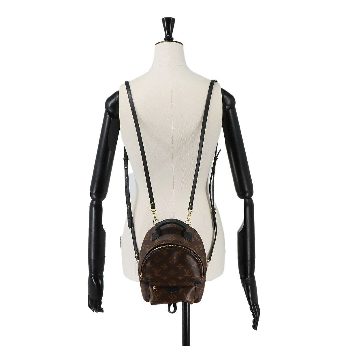 Monogram Palm Springs Backpack Mini M44873 Brown Purse