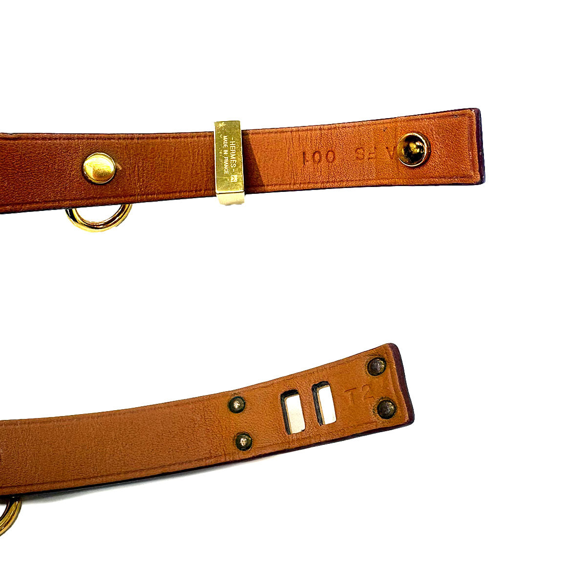 Mini Dog Anou Bracelet Swift Gold Brown Accessory T2
