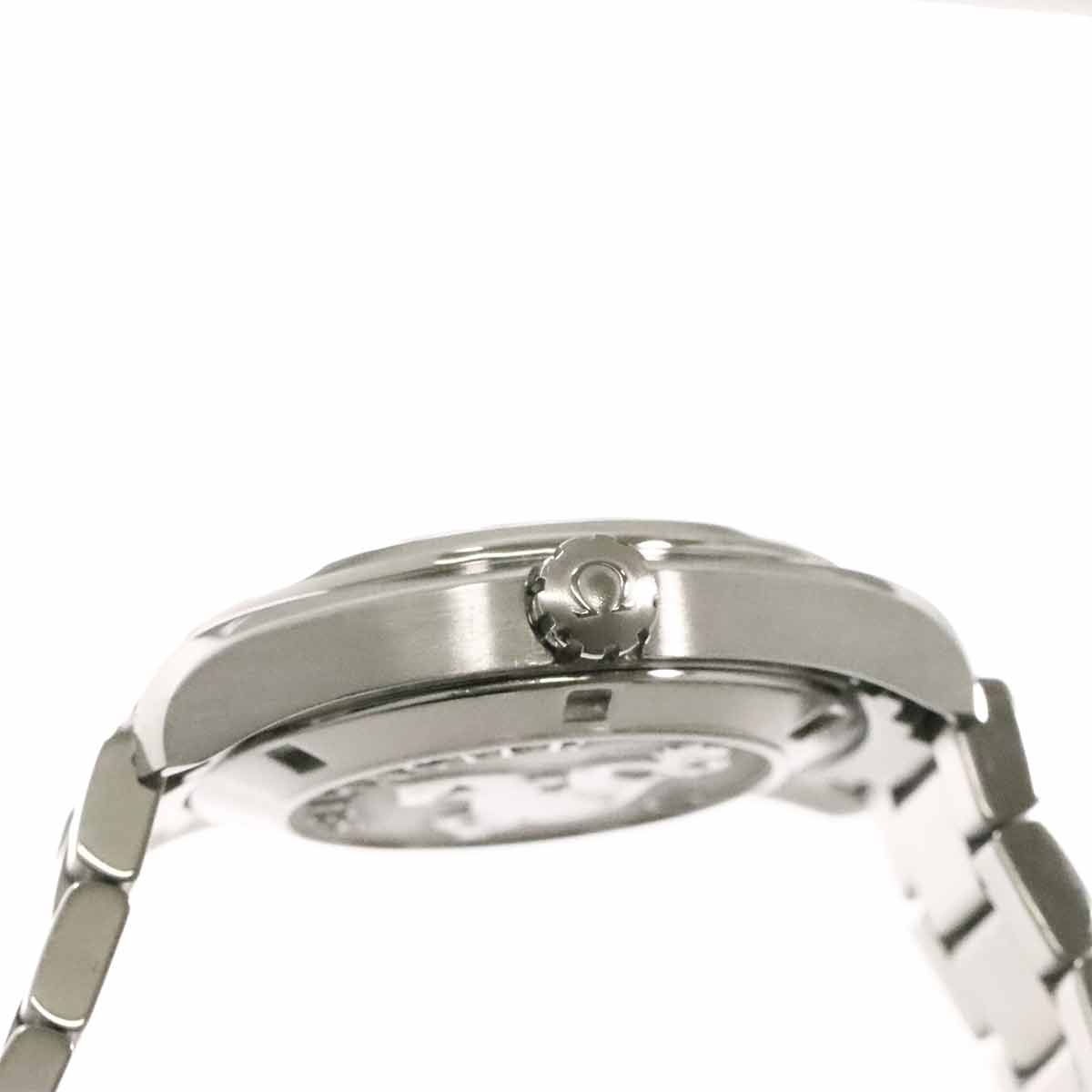 Sea Master Aqua Terra 231 10 39 61 02 001 Quartz silver Dial
