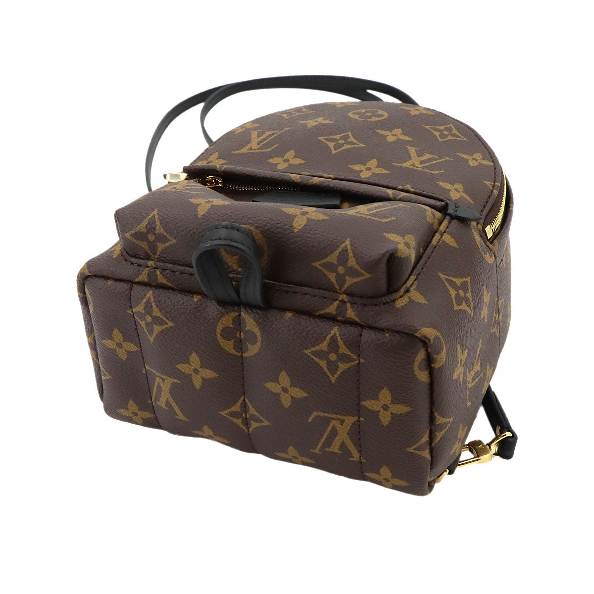 Monogram Palm Springs Backpack Mini M44873 Brown Purse