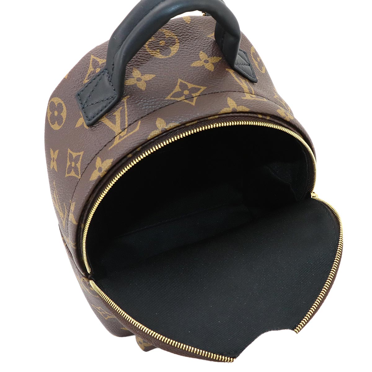 Monogram Palm Springs Backpack Mini M44873 Brown Purse