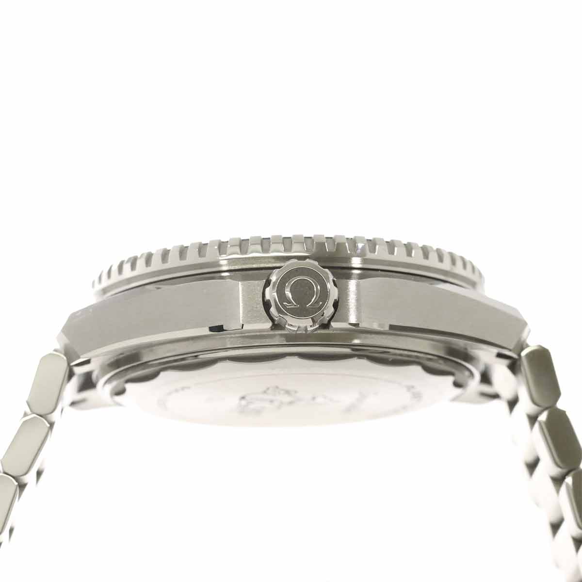 Seamaster Planet Ocean 600M 217 30 42 21 01 002 Black Dial